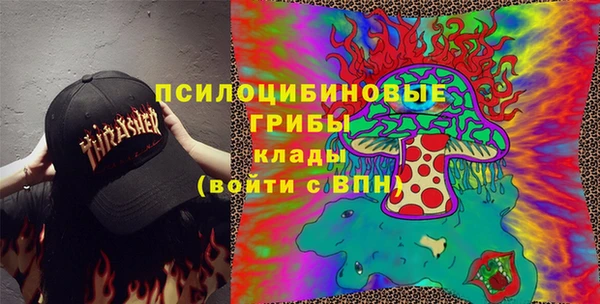 mdpv Бородино