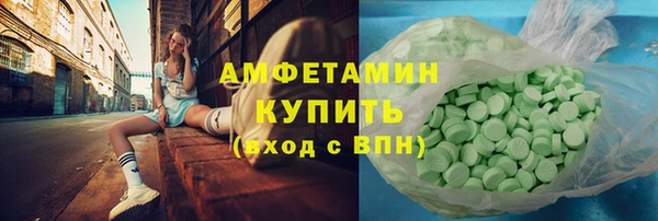 mdpv Бородино