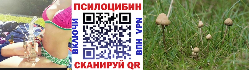 Галлюциногенные грибы Cubensis  Тольятти 